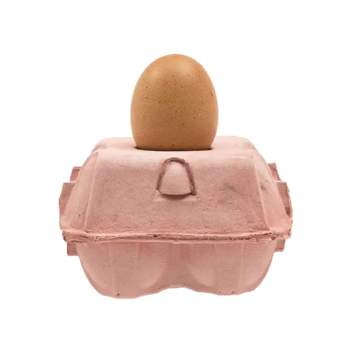 Betonnen Tafellamp Eierdoos | EggboxLamp | Rosé