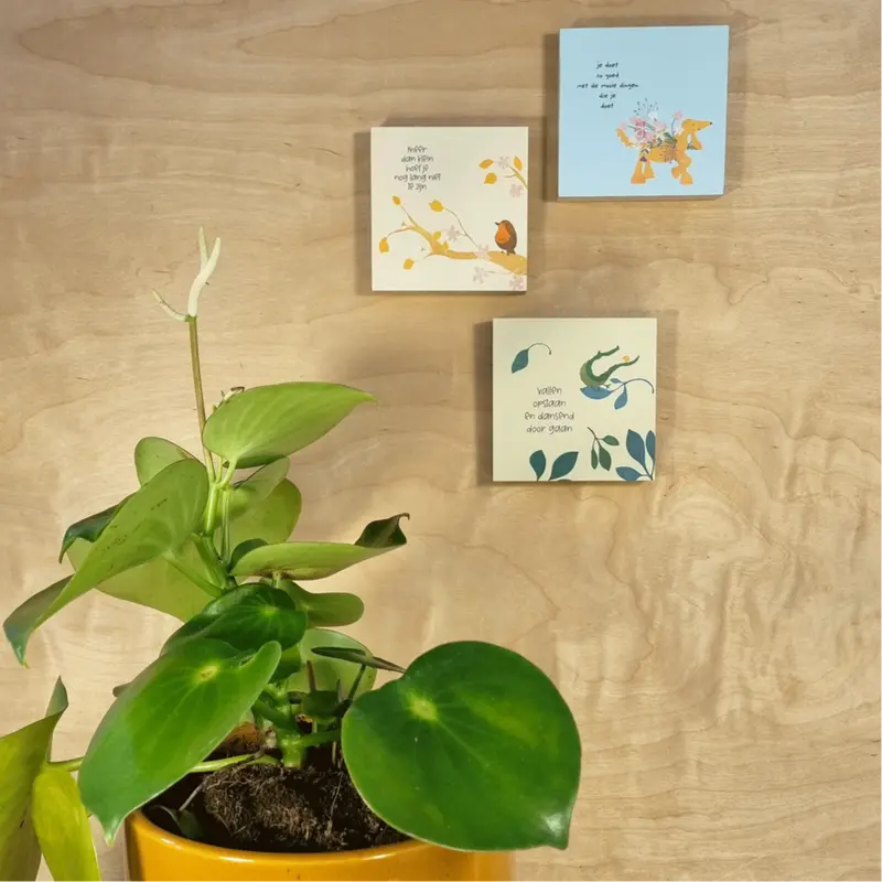 Blokje aan je muur