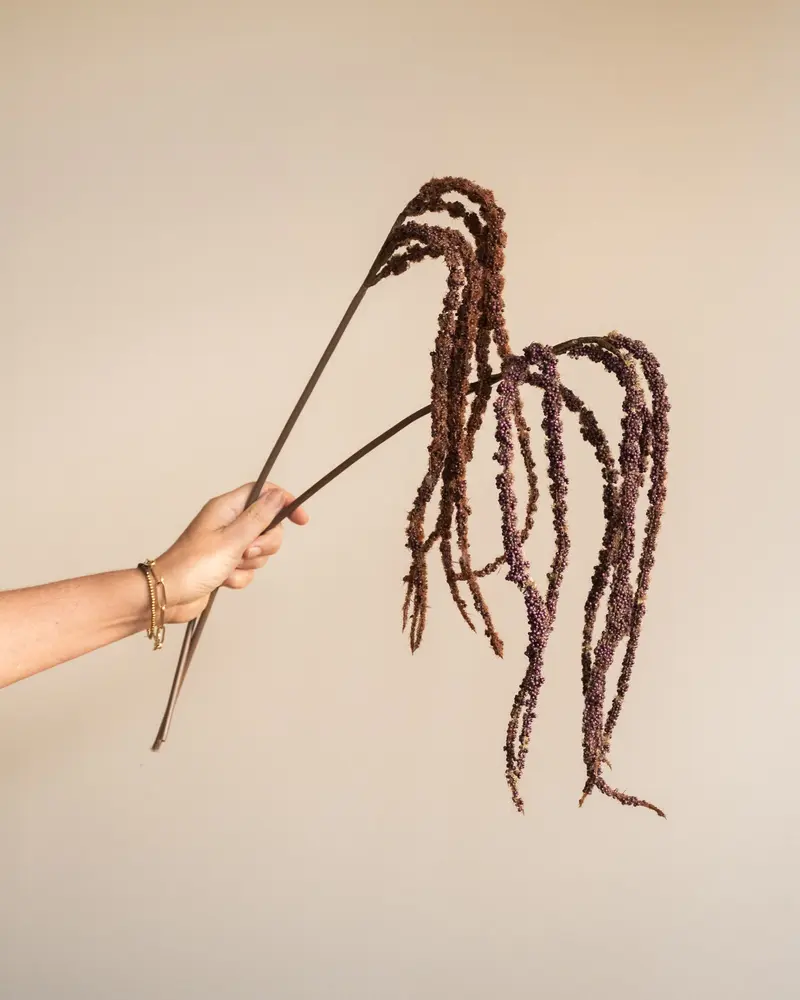 Bloomingville Kunstbloemen Foxtail Stem