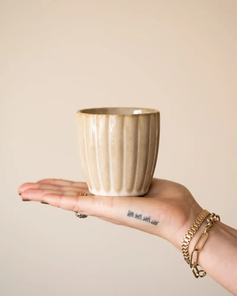 Cappuccinomok Astera