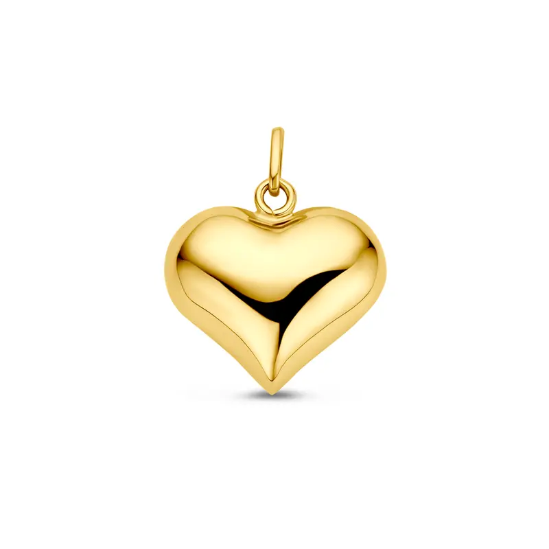 'Chiara' 14 karaat geelgouden hanger bol hart