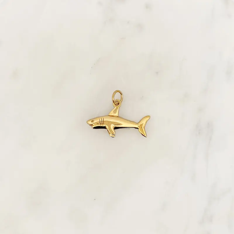 DYO Shark