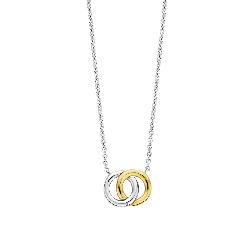 Forever Connected Bicolor Necklace