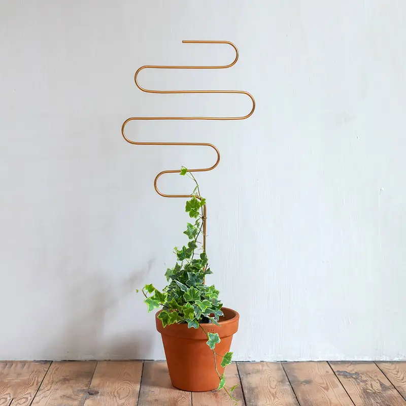 Gouden plantensteun van metaal voor klimplanten – Squiggle