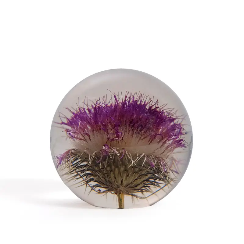 Hafod Grange Presse-papier Distel | Small