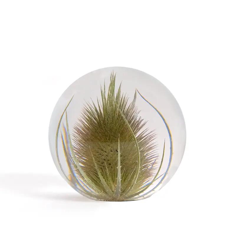 Hafod Grange Presse-papier Kaardebol | Small