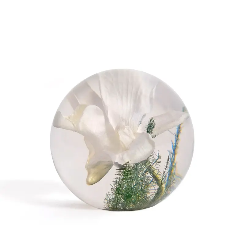 Hafod Grange Presse-papier Witte Orchidee | Small