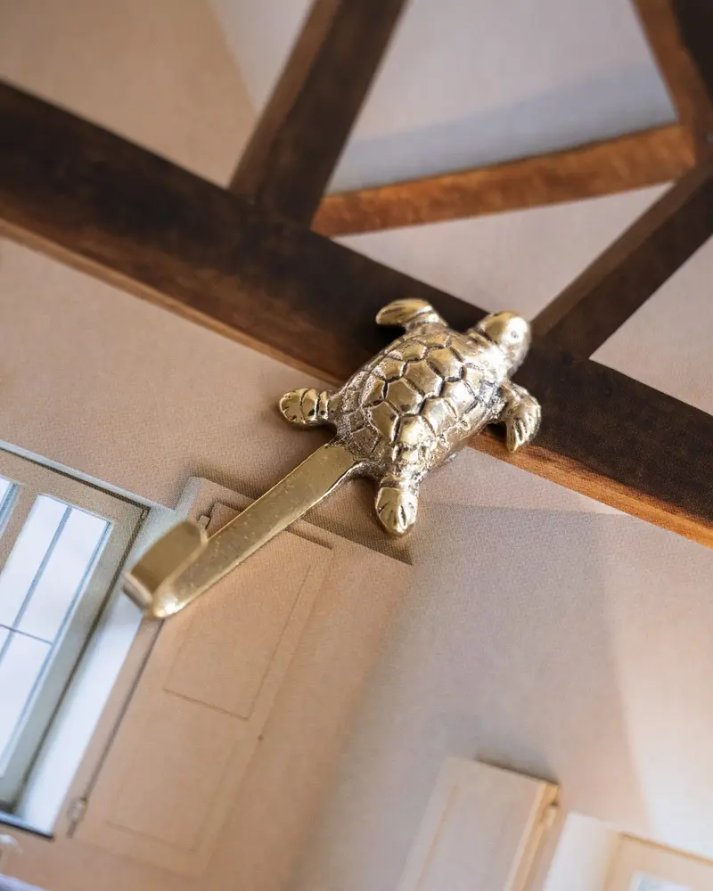 Handgemaakte Kleine Wandhaak Tommy Schildpad Messing