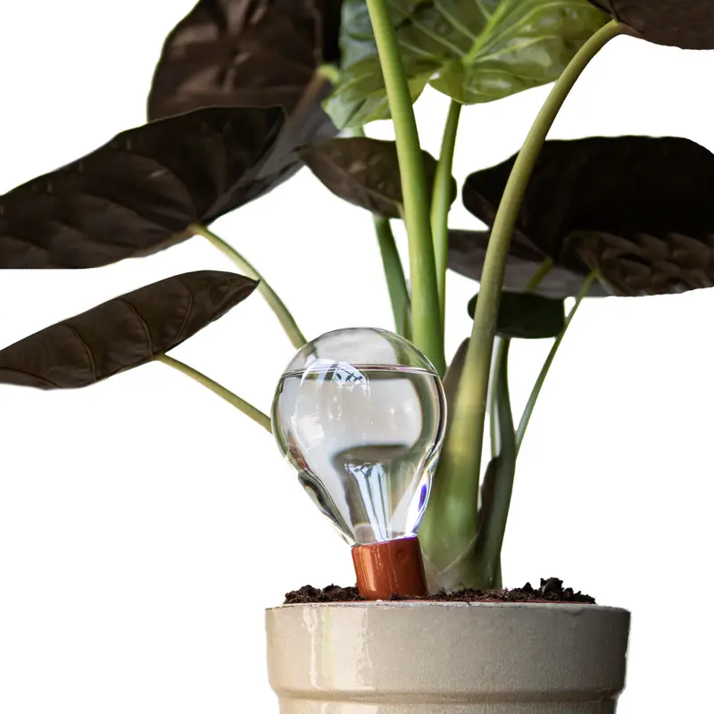 House of Thol Waterworks | Bewateringssysteem Planten | Medium