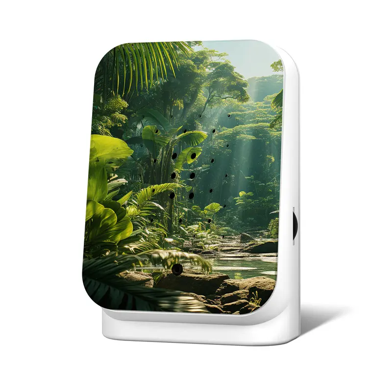Junglebox Maliau | Oerwoudgeluiden | Relaxound