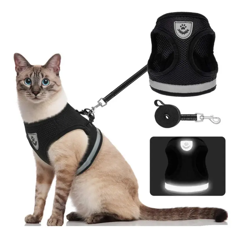 Katzengeschirr mit Leine - AdventureKit