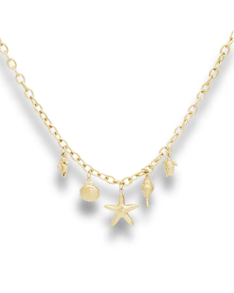 Ketting Beach style bedeltjes - Zeester