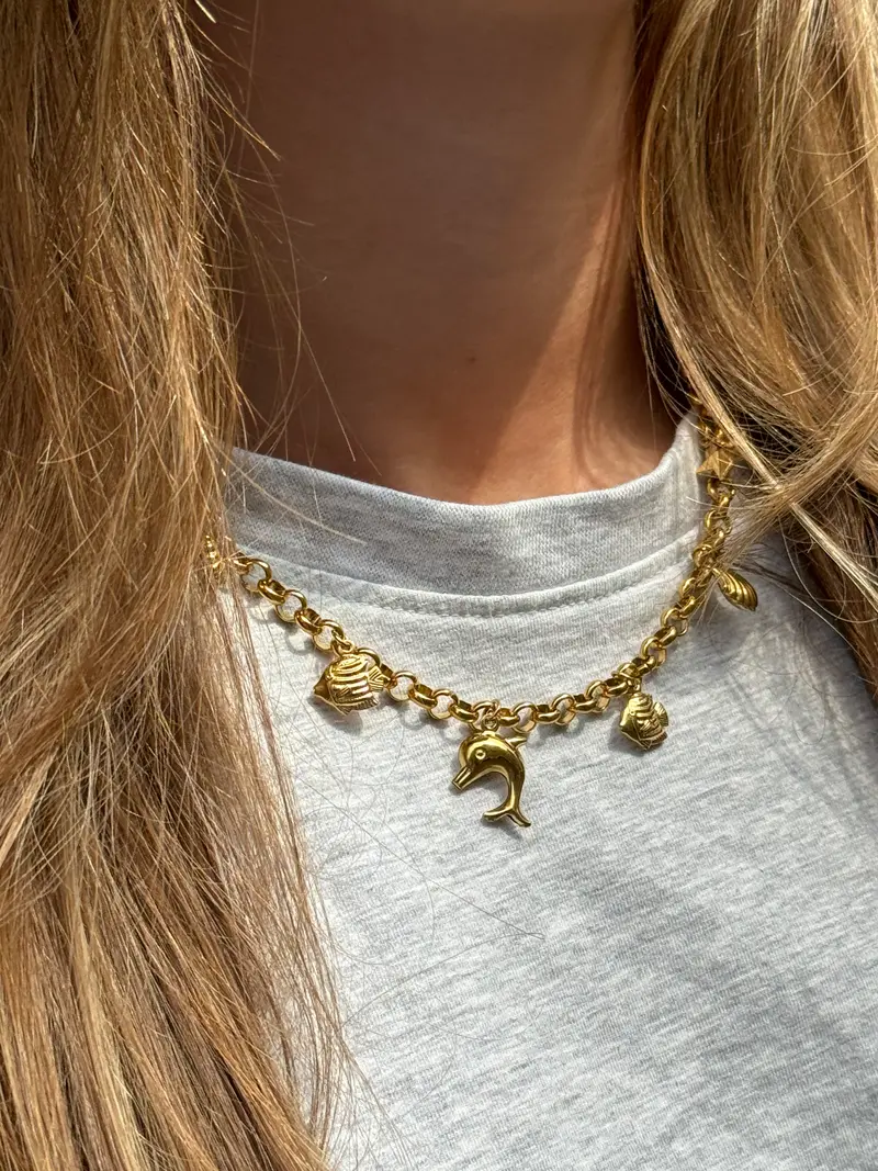 ketting roestvrij staal met zee bedeltjes