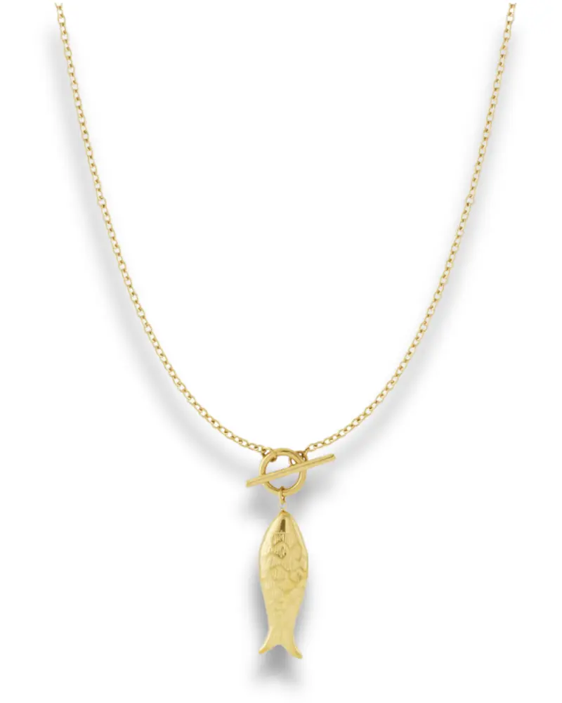 Lange ketting - Vis 70cm