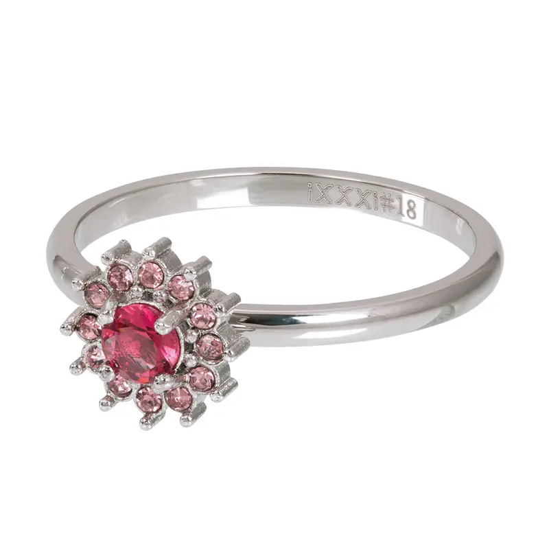 Lucia Small Fuchsia - iXXXi - Vulring 2 mm - Zilverkleurig