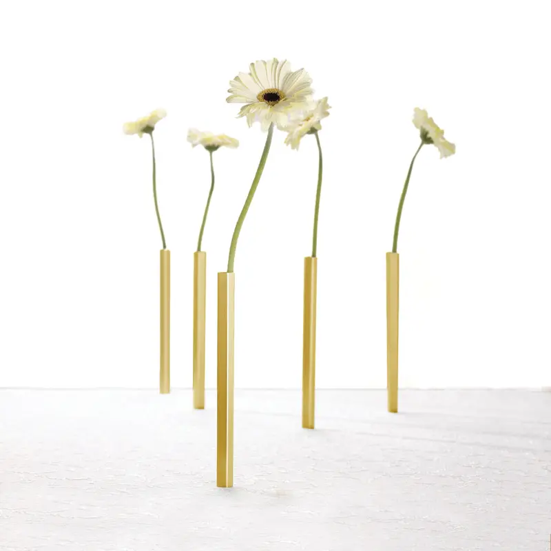 Magnetische Vaasjes Set van 5 Goud | Peleg Design