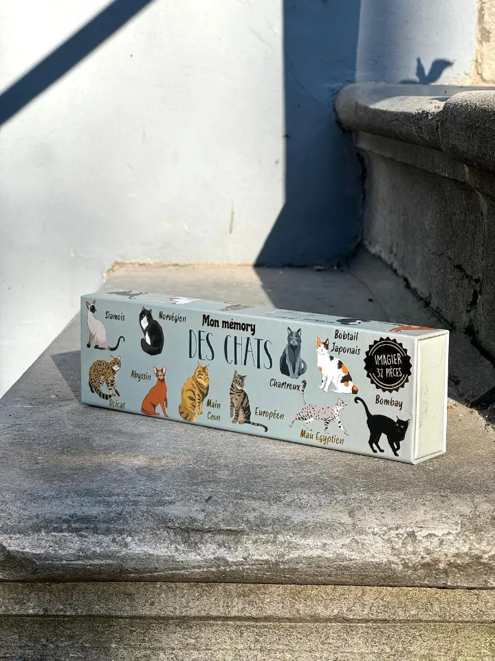 memory spel katten