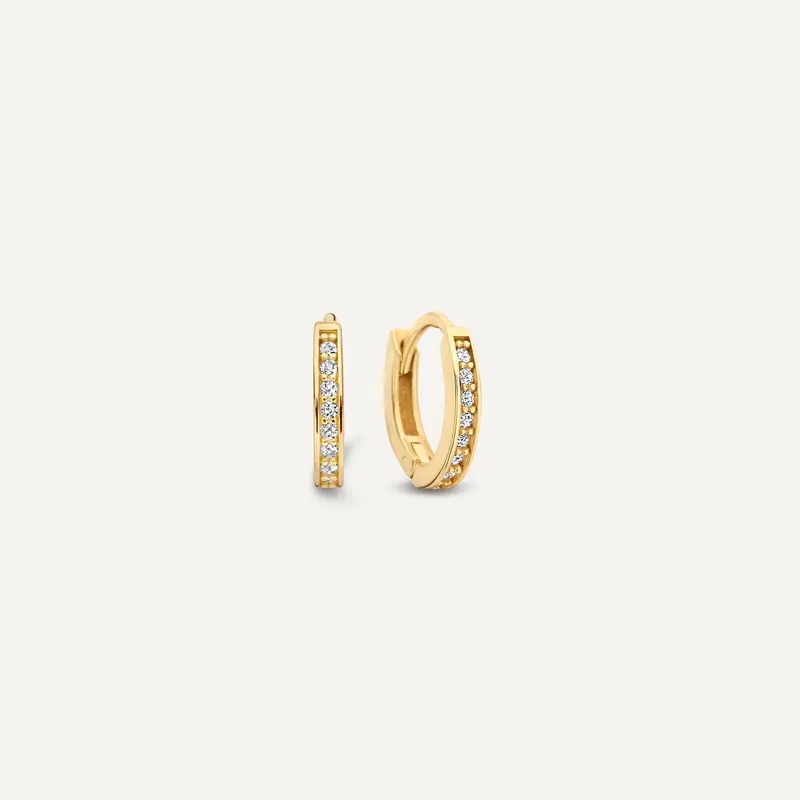Pavé Cubic Zirconia Oval Small Huggie Hoops (10mm)
