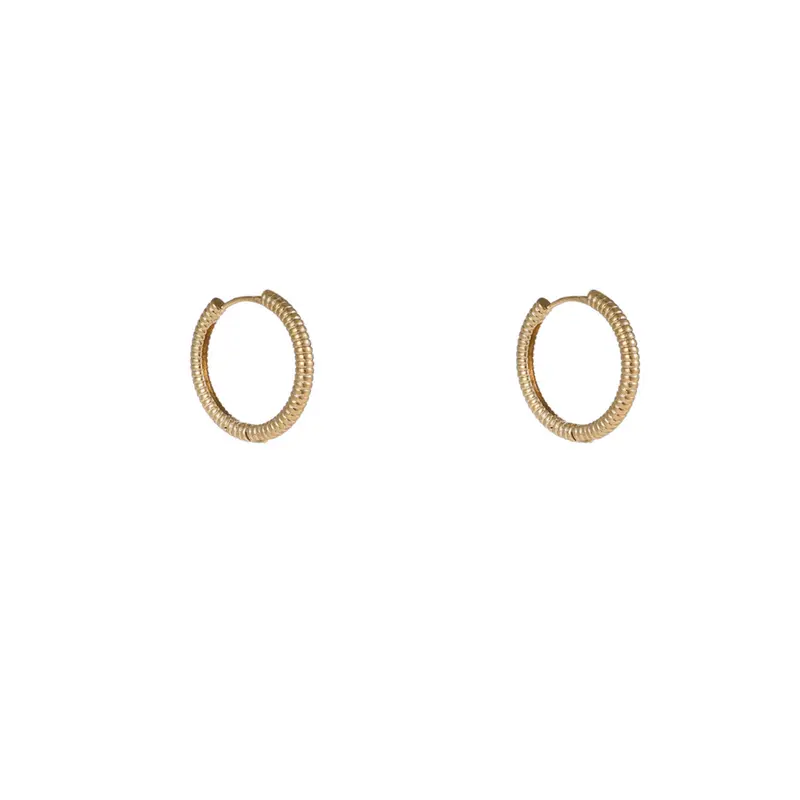 Propeller-  Hoop - 18mm - Goudkleurige - Oorbellen - E56091-2