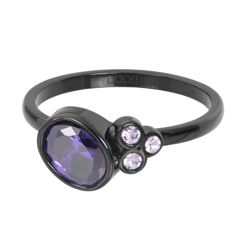 Rock Tanzanite - iXXXi - Vulring 2 mm - Zwart
