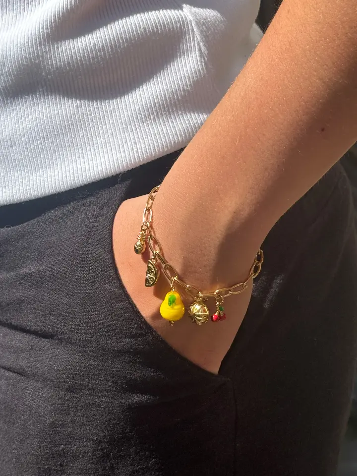 roestvrij staal armbandje met fruit bedeltjes