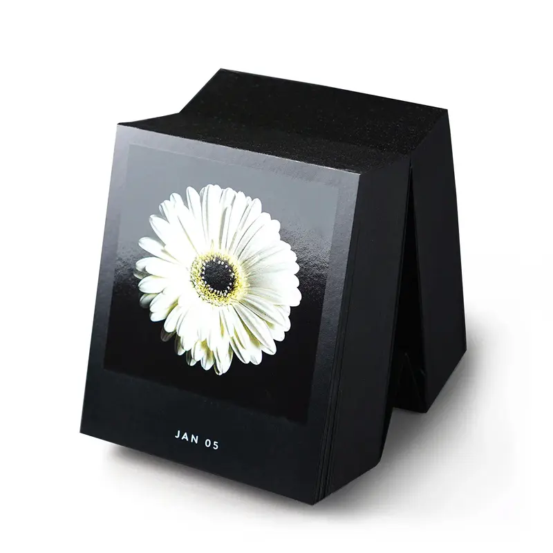 Seltmann Scheurkalender Jaarloos | Flamboyant Flowers