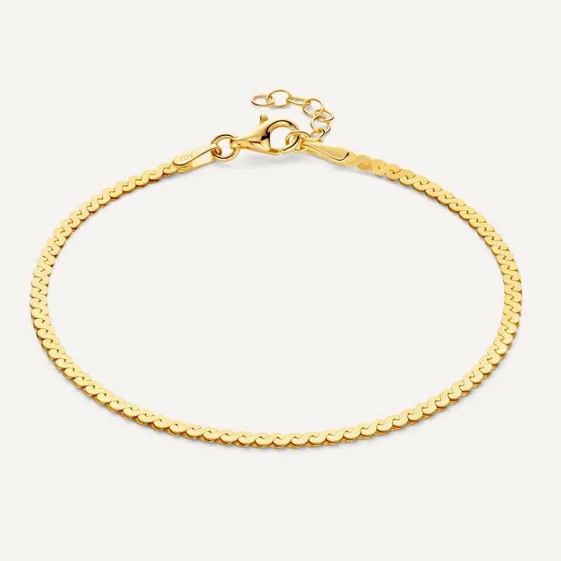 Serpentine Chain Bracelet