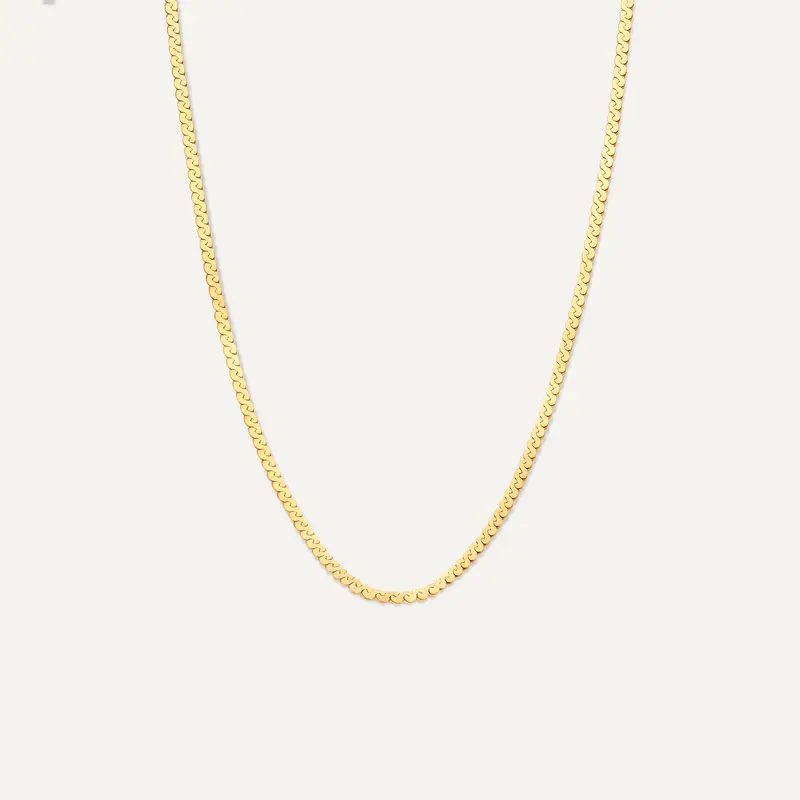 Serpentine Chain Necklace