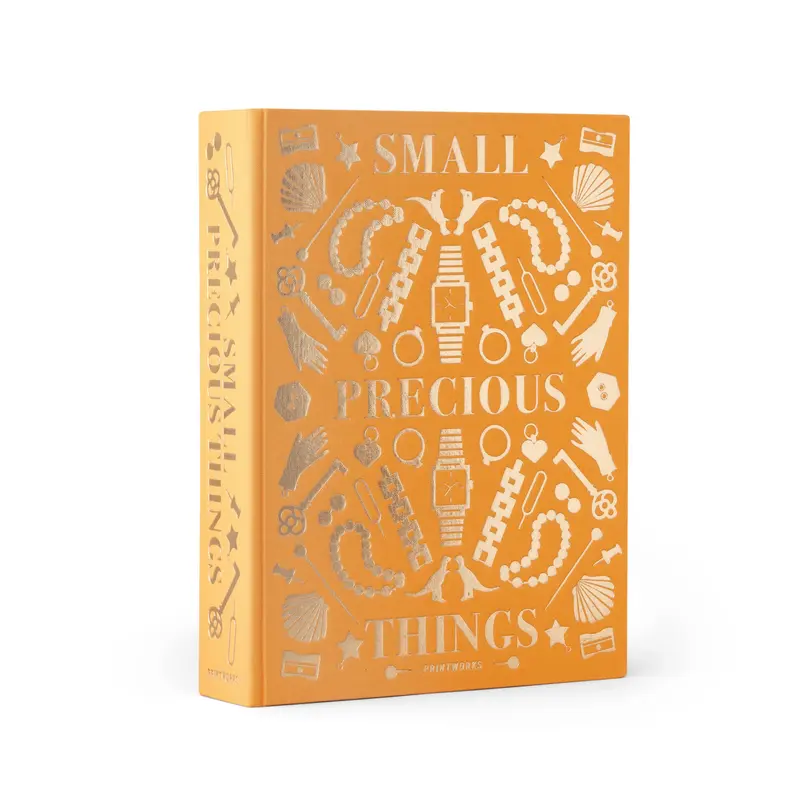 Sieradendoos Precious Things Oranje | Printworks