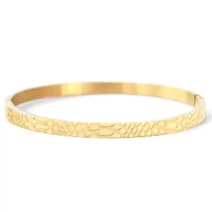 Snake Print - Lief Label - Bangle Steel Armband - Goudkleurig