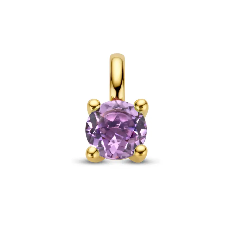 'Sofia' 14 karaat geelgouden hanger met amethist