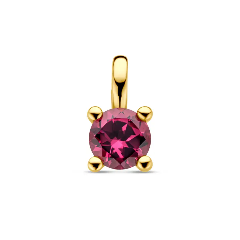 'Sofia' 14 karaat geelgouden hanger met rhodoliet