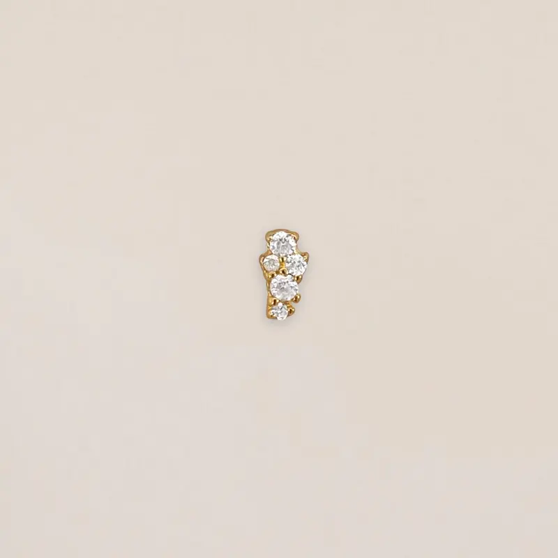 Spark Cluster Piercing