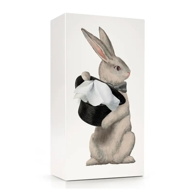 Spextrum Tissue Up Tale Tissuebox | Konijn