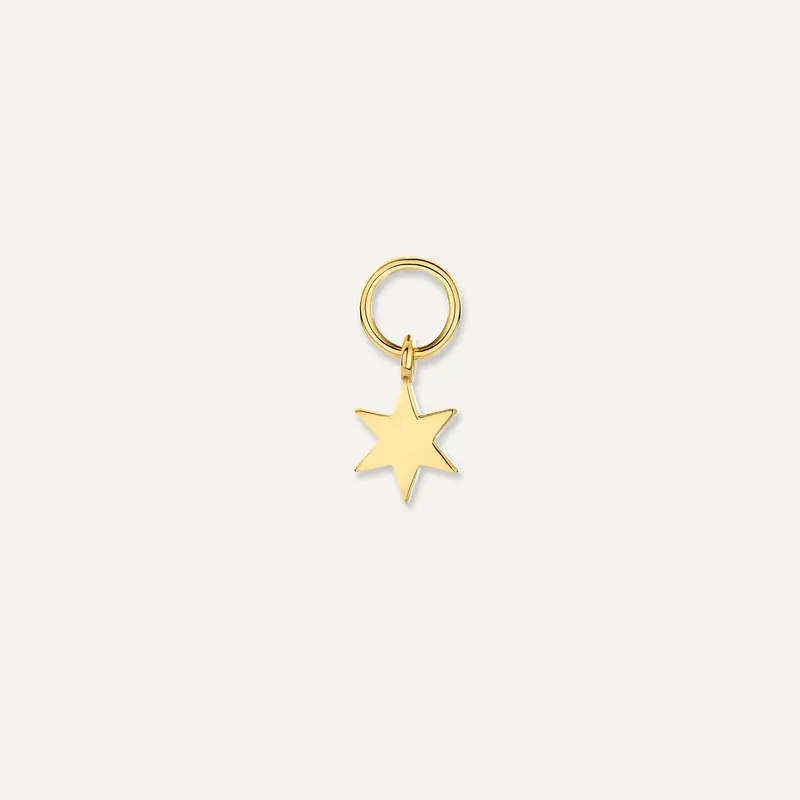 Star Hoop Charm