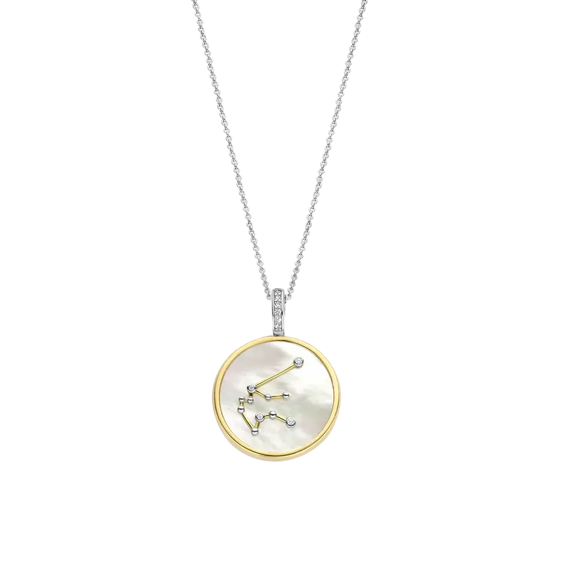 Zodiac Necklace with pendant - Aquarius