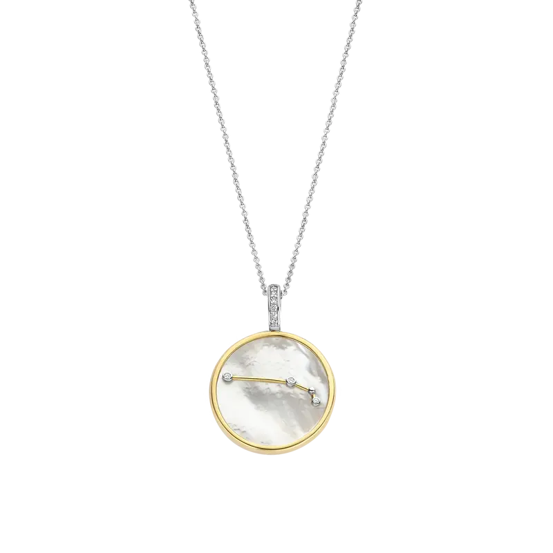 Zodiac Necklace with pendant - Aries
