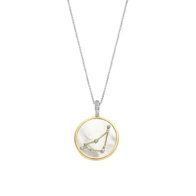 Zodiac Necklace with pendant - Capricorn