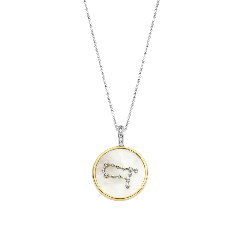 Zodiac Necklace with pendant - Gemini