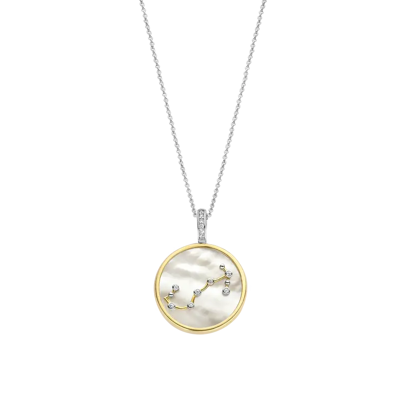 Zodiac Necklace with pendant - Scorpio