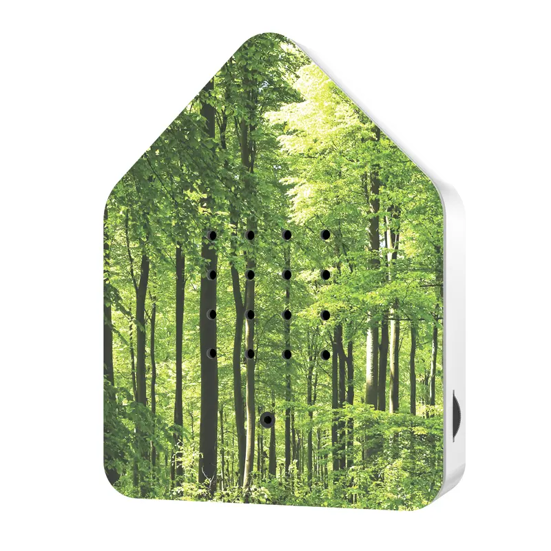 Zwitscherbox Classic Forest | Vogelgeluiden Huisje | Relaxound